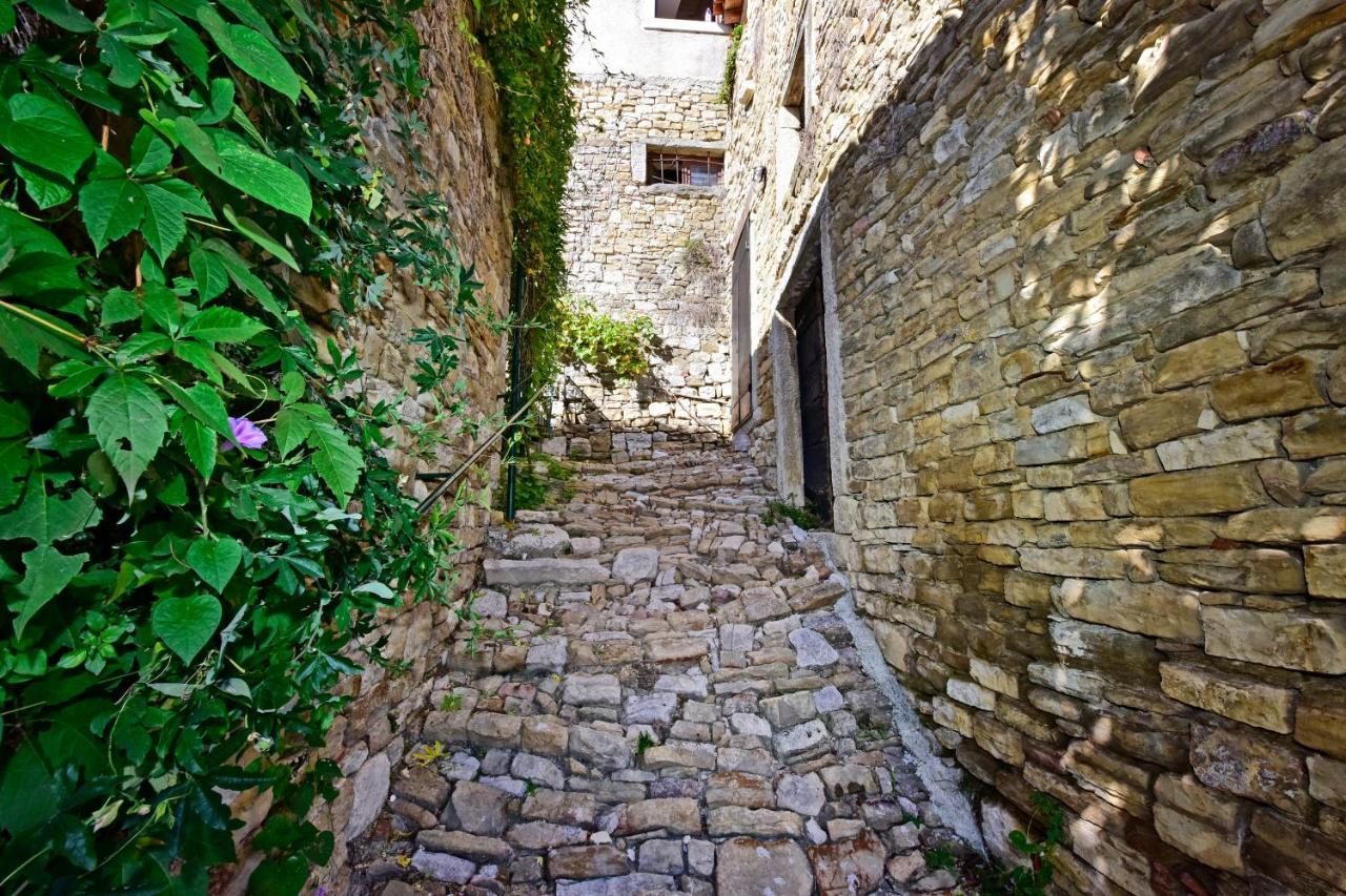 Villa Fragola Motovun Zewnętrze zdjęcie