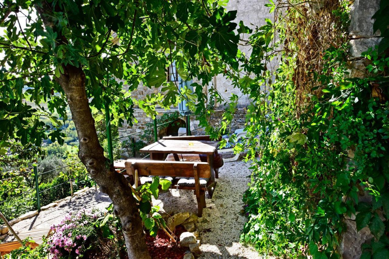 Villa Fragola Motovun Zewnętrze zdjęcie
